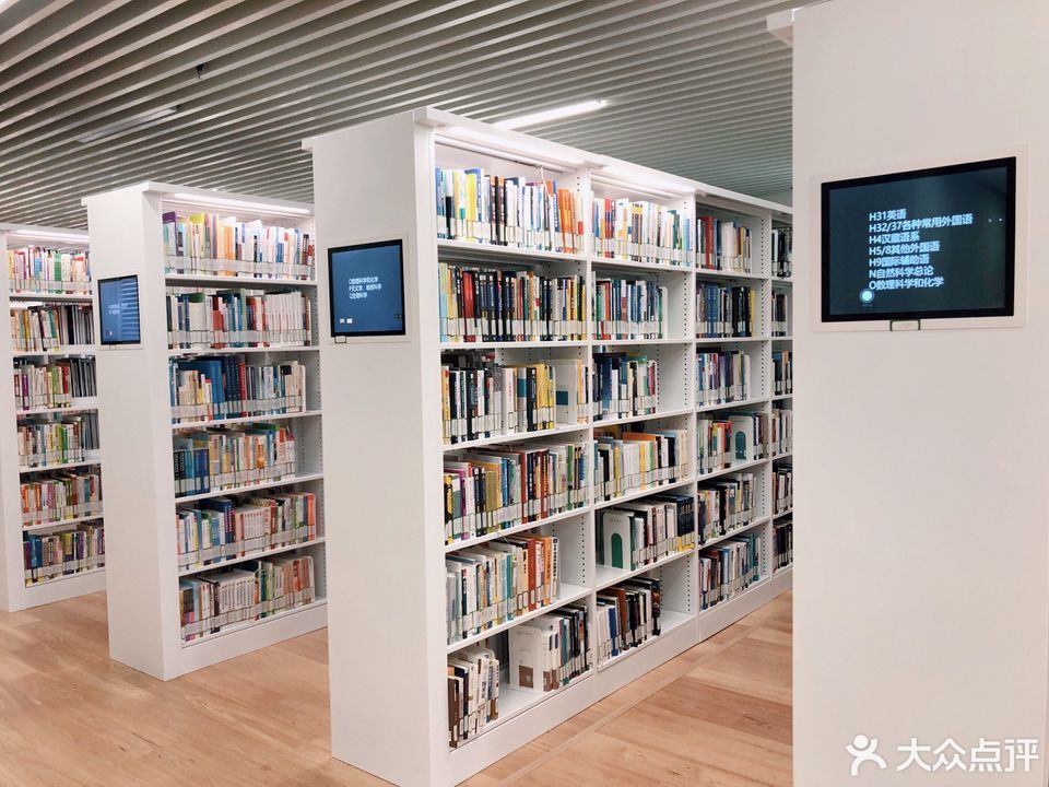 能力提升方案Word模板下载(图1)